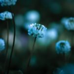 胸、締め付ける苦しい恋◇障害の正体/相手があなたに抱く最終決断◇