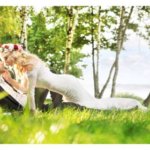 成功結婚をしたいなら必見！◆相手の名前/価値観/年齢/貯蓄