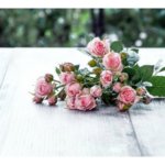 片思いの恋運命≪諦める/耐える/いっそ告白≫くすぶり続けた恋・決着占