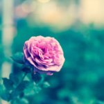 【苦しい片思いの究極結論】あの人の結婚相手は私or私以外？二人の辿る恋運命