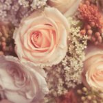 恋愛下手必見『自分に自信がない…。』そんなあなたを幸せにする運命の人候補とは？