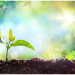 訪れる転機と選択≪あなたの人生を輝かせる秘策とは？≫対人運・恋愛運・金運