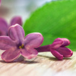 好きになっちゃいけない人……でも嫌いにはなれない。【不安定で曖昧なあの人との関係】あなたが悩みから解放される日