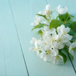 今は恋愛はいいやって思うけど、やっぱり不安。いつか良い出会いはある？【運命の結婚鑑定】