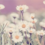 運命の結婚ストーリー≪あなたを心から愛する人は誰？≫相手の特徴/性格/職業、お教えします。