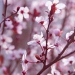 あなたはあの人と≪交際できるor何もナシ？≫二人の恋運命を徹底鑑定