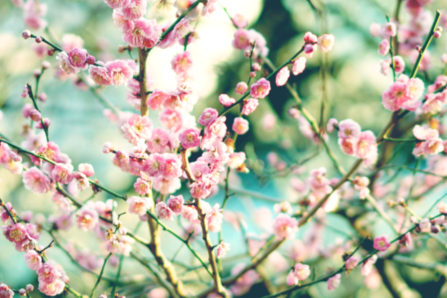 脈アリだったのに……嫌われた？【あの人の態度が変わった理由】あなたに抱く本心/実は望む関係/恋結末