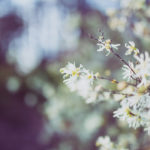 逢えないあの人……私と【付き合いたいor一線引きたい？】抱く感情/恋転機/結末