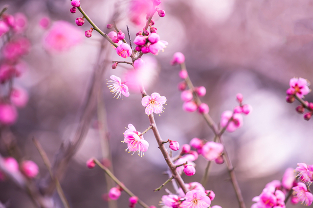 『私って……面倒くさい？』距離を感じるあの人。本心では【実は好きor一線引きたい】二人の最終未来