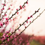 「私、一線引かれてる？」あの人の率直すぎる本心⇒この恋【もう脈ナシor既に両想い】結末までズバリ