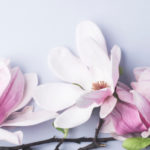 『あの人と結ばれたら…？』二人を結ぶ魂の≪絶対相性≫この恋の最終結末