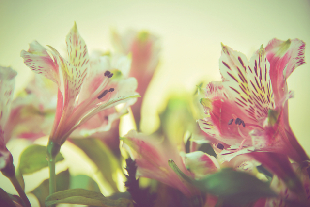 あの人の生き霊、あなたを見つめてますよ。【新たに芽生えた“特別な感情”】妄想/秘密/本当の想いも全暴露