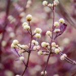 受け入れるしかないわ。『片想いを終わらせる』あの人のガチ本音と恋結論