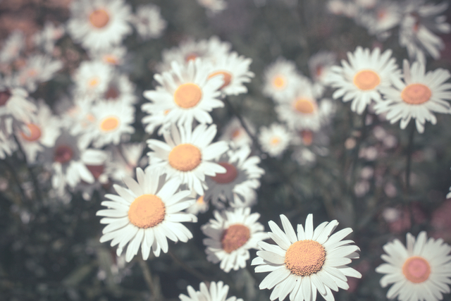 あの人の笑顔、独り占めできる？【ずっとずっと、長く想い続けた恋】あなたに用意された“答え”⇒1年後の二人の姿