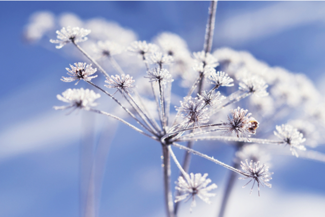 教えて生き霊！『この恋、脈アリですか？』あの人が“あなただけ”に感じる魅力⇒この先伝える“大切な想い”