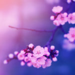 知る覚悟、ありますか？ あの人が言わずにいる、あなたへの【正直すぎる本音】期待/打算と計算/想い全部