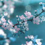 元サヤの可能性●％！【奇跡を起こす復縁鑑定】今私のコトどう思ってる？復縁のチャンスが訪れるのは「この日」です