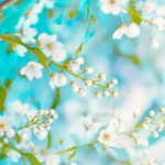 私、距離を置かれてる？【このまま終了orまさかの告白】あの人が隠す意外な本心と「裏」事情⇒固める決心