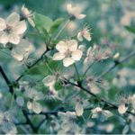 【相手の本心、暴きます。】切なくてもどかしい恋…本当のところ、彼は私をどう思ってる？その答えをズバリ！