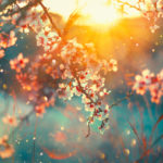 ※こっそり、一人で見て※【禁断の濃密宿縁鑑定】あの人の疼く欲情/二人が得る悦楽