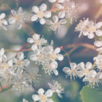 【絶縁or結婚】長すぎる友達関係の二人が辿る最終結末の全貌!!あの人が最後に選ぶのはあなた…？