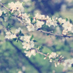 【あなたに突然訪れる恋】相手の名前・口癖…あなたを変えてしまう運命の瞬間