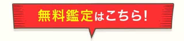 無料鑑定はこちら